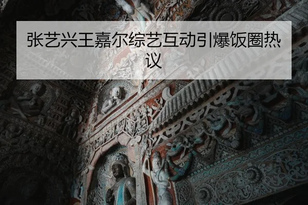 张艺兴王嘉尔综艺互动引爆饭圈热议
